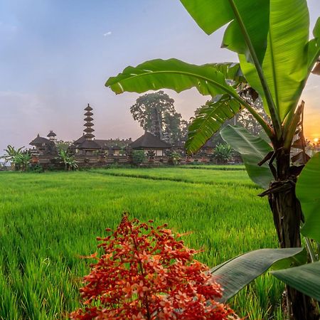 Niki - Serenity And Elegance - Villa In Ubud With Panoramic Temple Views Exterior foto