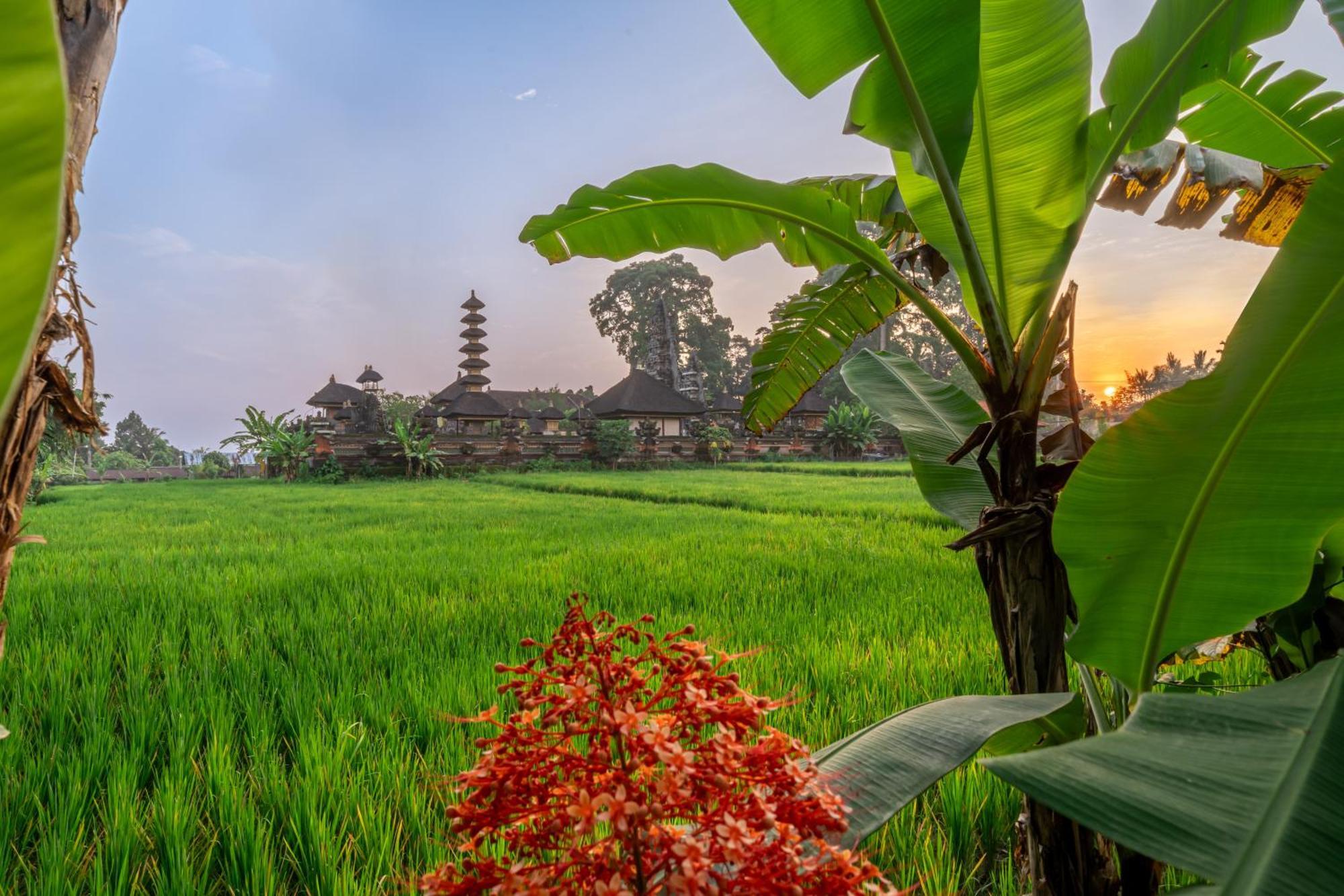 Niki - Serenity And Elegance - Villa In Ubud With Panoramic Temple Views Exterior foto